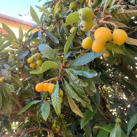 Edera 2* Salsomaggiore Terme