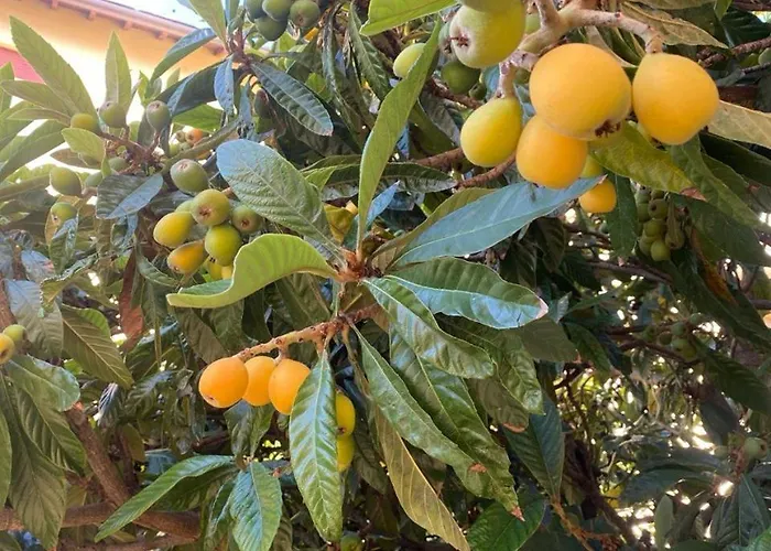 Edera 2* Salsomaggiore Terme